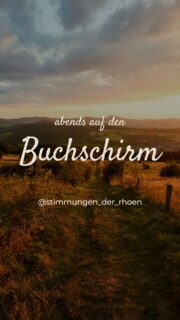 Der Hausberg von Hilders ist der Buchschirm. 

Abends ist die Aussicht von dort perfekt. Man sieht die Wasserkuppe, Milseburg und Noahs Segel. Die Wanderung „Der Hilderser“ führt genau über den Berg. 
Insgesamt hat die Tour 12 km und 370 HM.