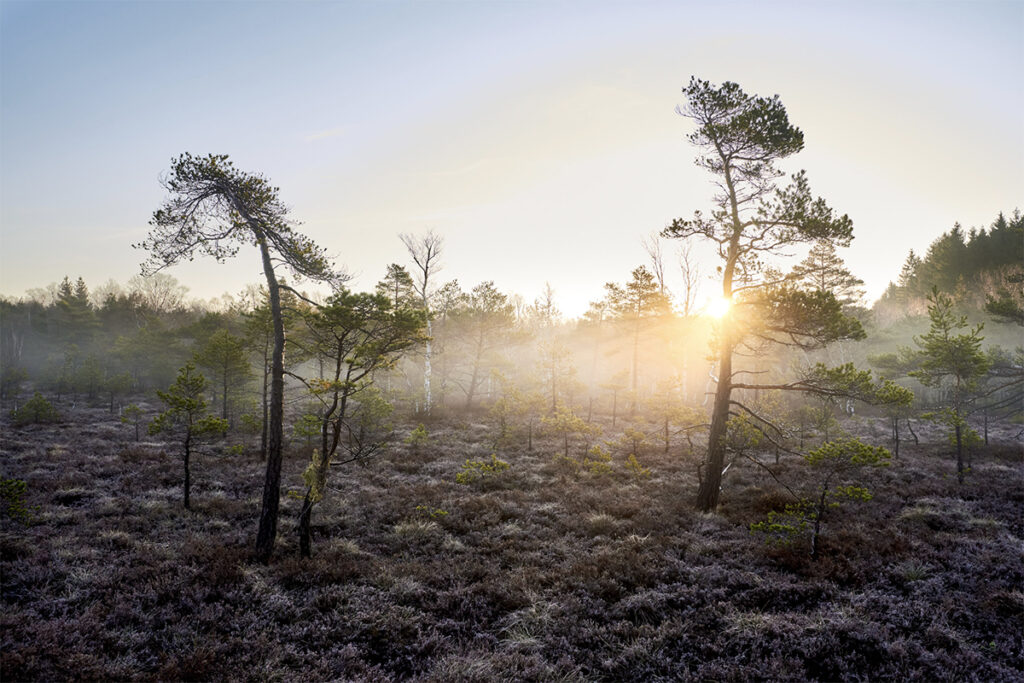 Foto Rhön Wasserkuppe Workshop Marius Holler, Stimmungen der Rhön