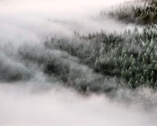 Ausblick auf den gefrorenen Tannenwald. Super spannende Bedingungen waren das letzte Woche. 

#rhön #gersfeld #hessen