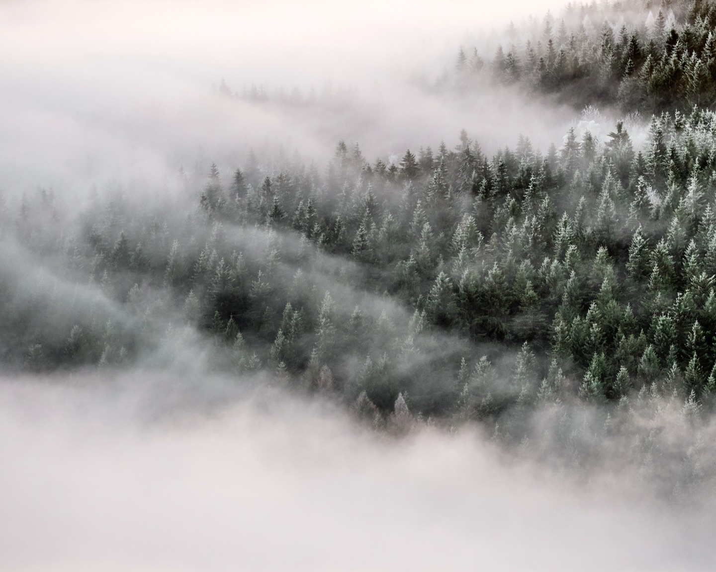 Ausblick auf den gefrorenen Tannenwald. Super spannende Bedingungen waren das letzte Woche. 

#rhön #gersfeld #hessen